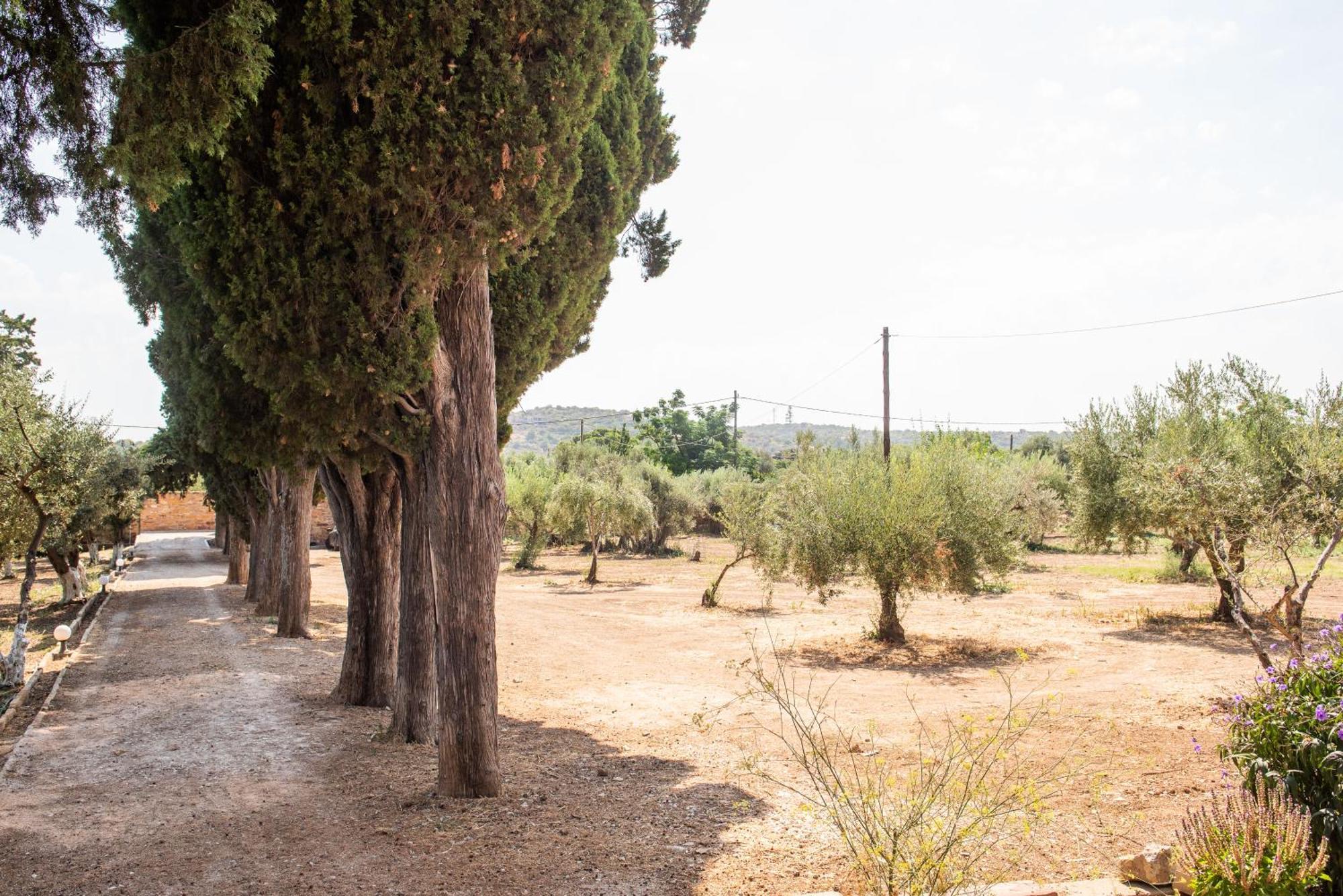 כיוס Calvocoressi Estate מראה חיצוני תמונה