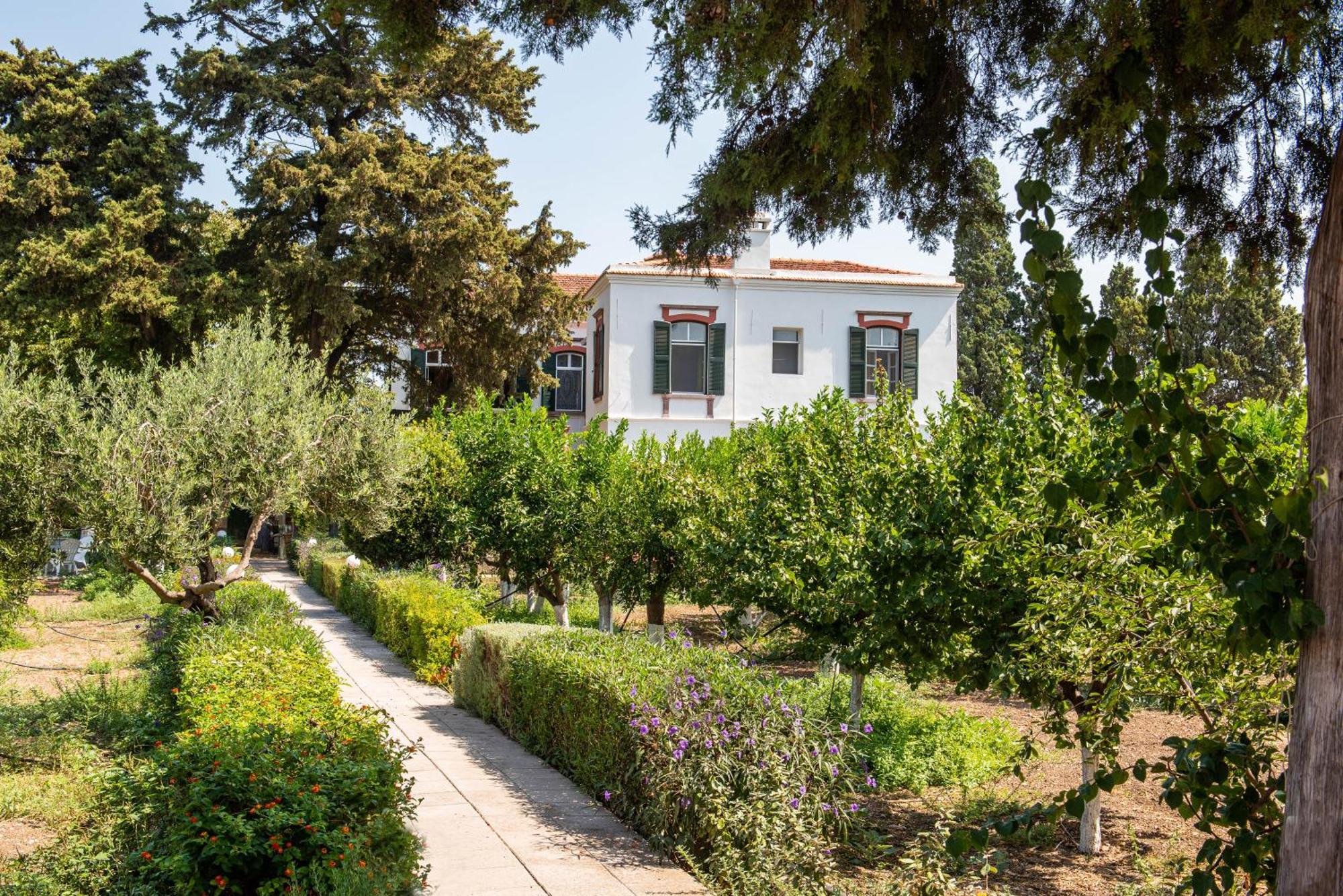 כיוס Calvocoressi Estate מראה חיצוני תמונה