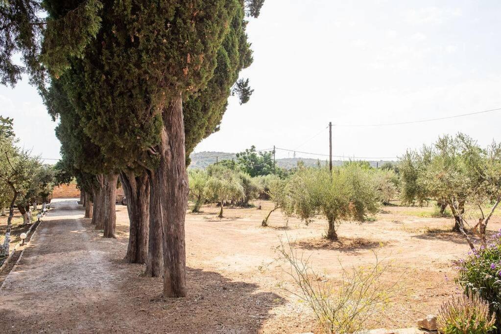 כיוס Calvocoressi Estate מראה חיצוני תמונה